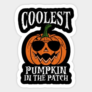 Coolest Pumpkin In The Patch - Halloween Sticker